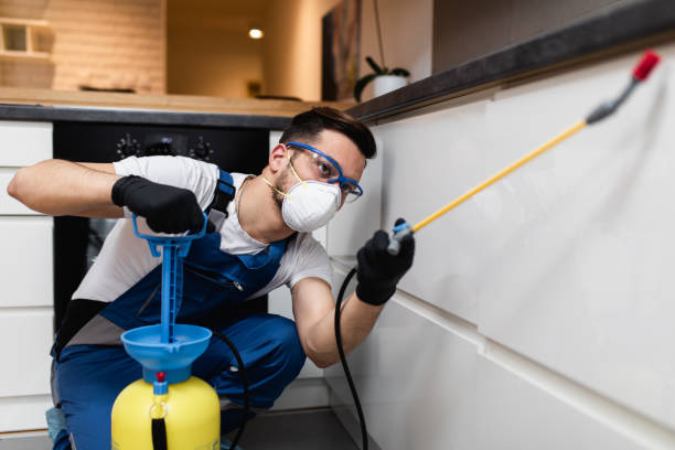 Best Mosquito Control Services  in Chaska, MN