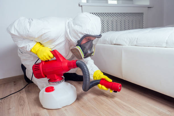 Best Flea Control Services  in Chaska, MN