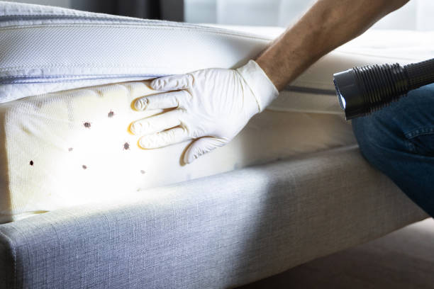 Best Exterminator Services  in Chaska, MN
