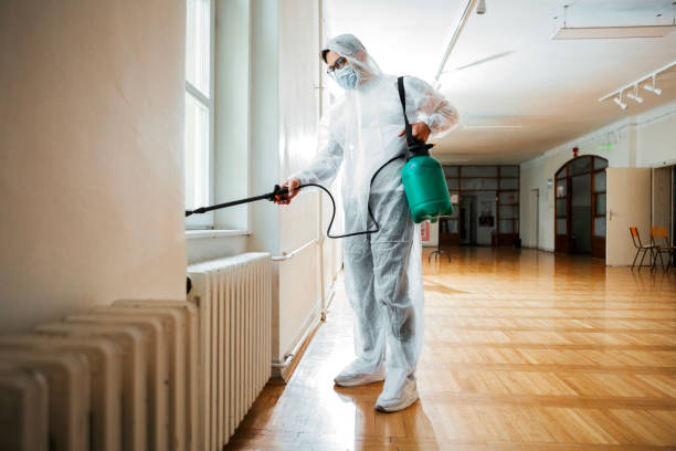 Wasp Removal Services in Chaska, MN