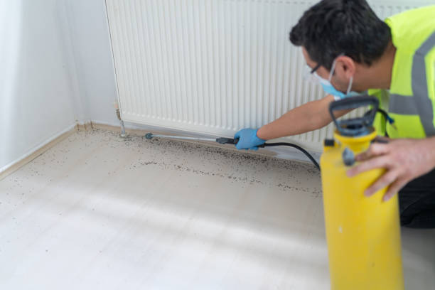 Best Best Pest Control Companies  in Chaska, MN